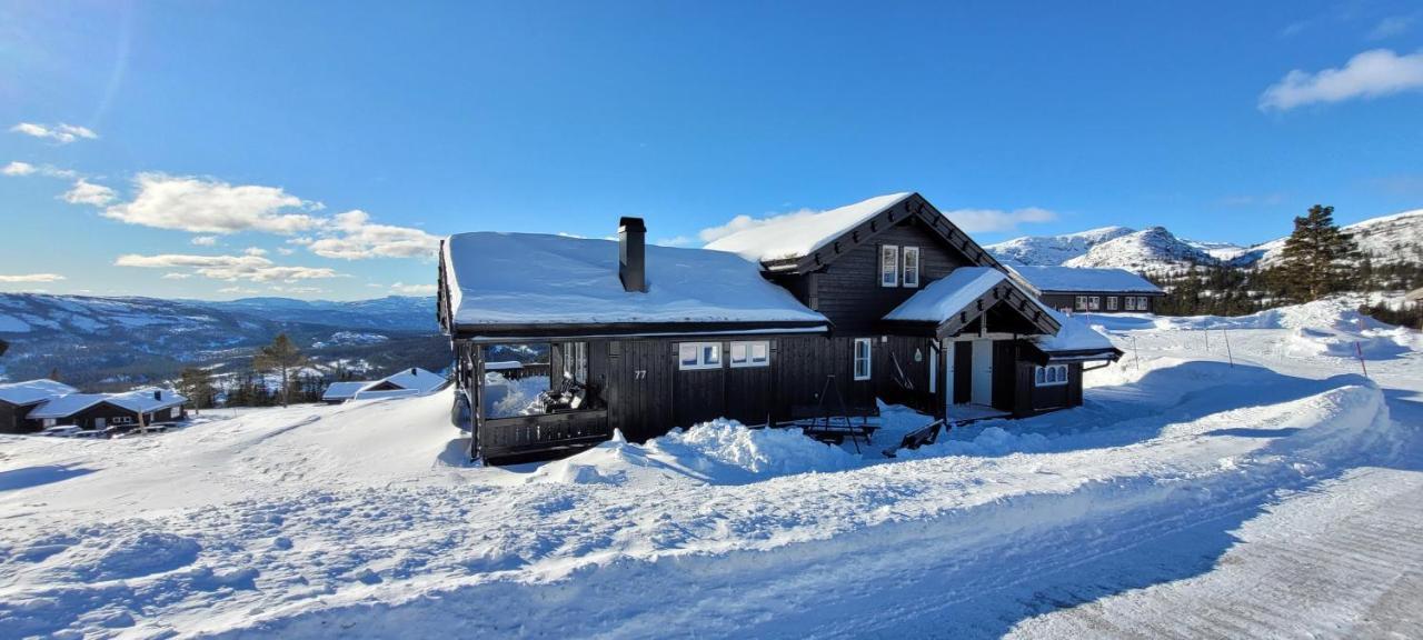 Wonderful Cabin With Amazing Mountain - View Lifjell Dış mekan fotoğraf