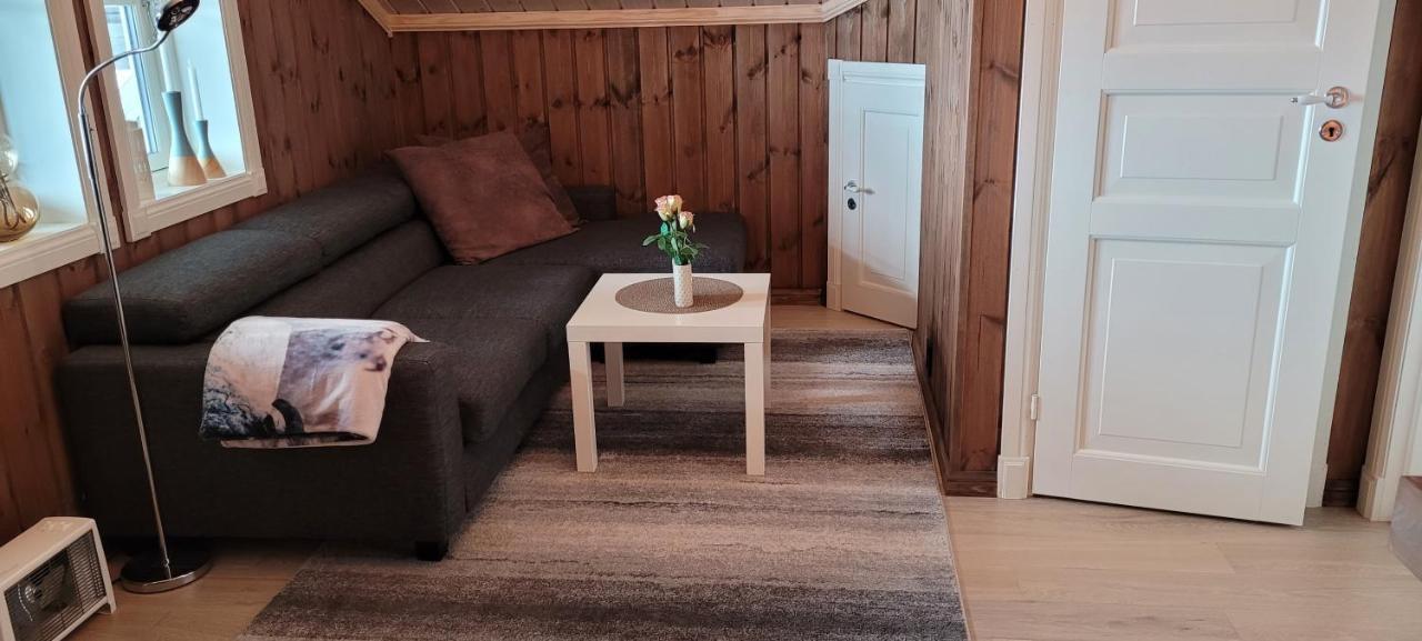 Wonderful Cabin With Amazing Mountain - View Lifjell Dış mekan fotoğraf
