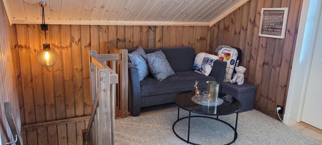 Wonderful Cabin With Amazing Mountain - View Lifjell Dış mekan fotoğraf