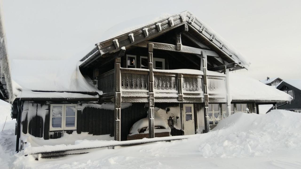 Wonderful Cabin With Amazing Mountain - View Lifjell Dış mekan fotoğraf