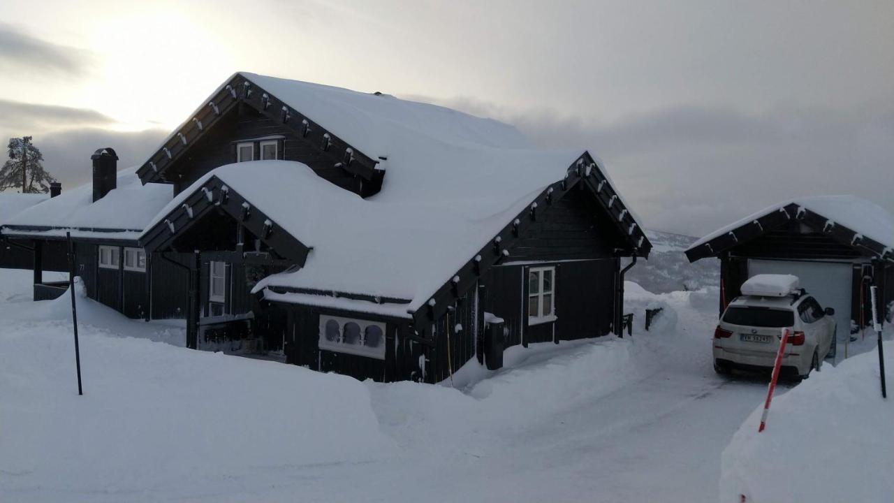 Wonderful Cabin With Amazing Mountain - View Lifjell Dış mekan fotoğraf