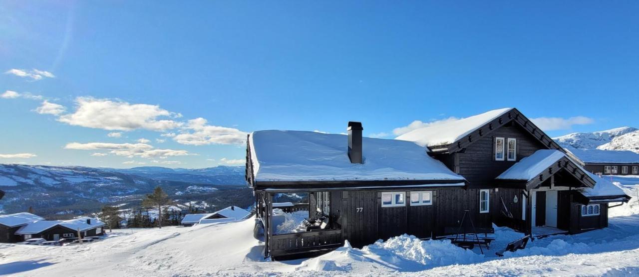 Wonderful Cabin With Amazing Mountain - View Lifjell Dış mekan fotoğraf